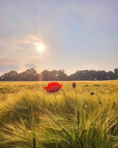 20230607_192727 (002)